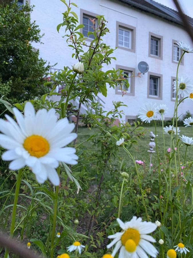 An Der Walnuss Apartman Feilsdorf Kültér fotó